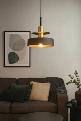 Lampa wisząca 1xE27 Solea Brown/Gold