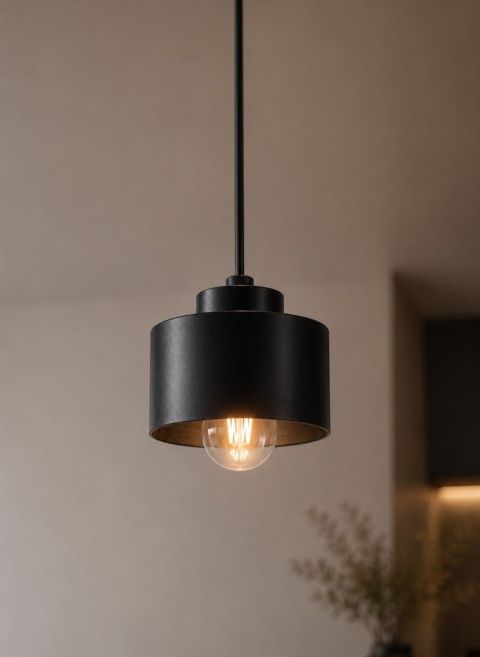 Pendant lamp 1xE27 SIMPLY BLACK