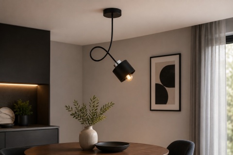 Lampa sufitowa 1xE27 SIMPLY BLACK/SILVER