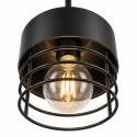 Pendant lamp 1xE27 ELLE