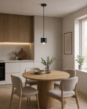 Pendant lamp 1xE27 SIMPLY BLACK/SILVER