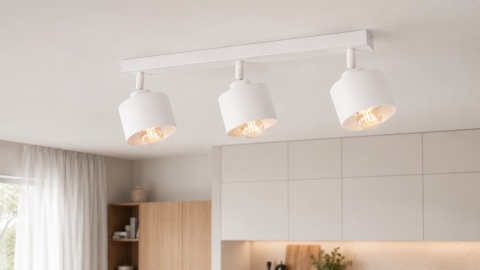 Ceiling Lamp 3xE27 SIMPLY WHITE