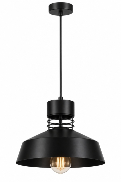 Lampa wisząca 1xE27 TITANIUM BLACK