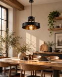 Lampa wisząca 1xE27 BOSSI BLACK