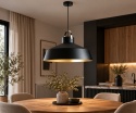 Lampa wisząca 1xE27 Asner